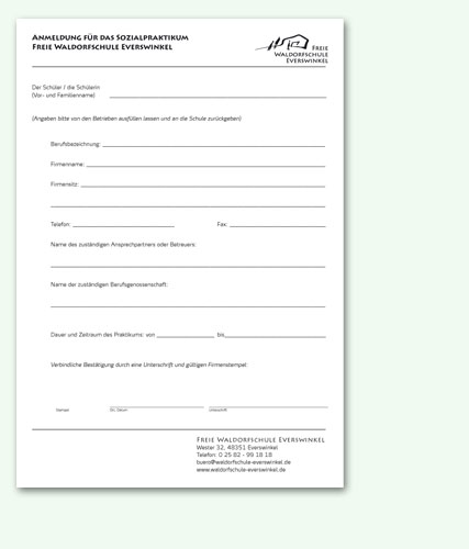 FWSE Form Sozialpraktikum