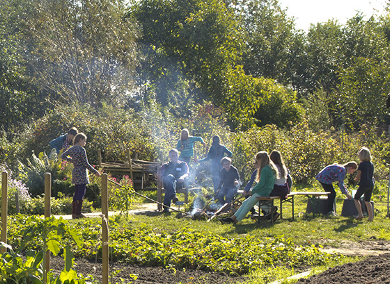 FWSE-JKMF-ToT-17 2-617