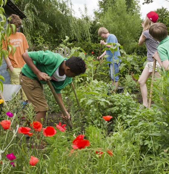 Waldorfs Eversw JK Gartenbau 0044